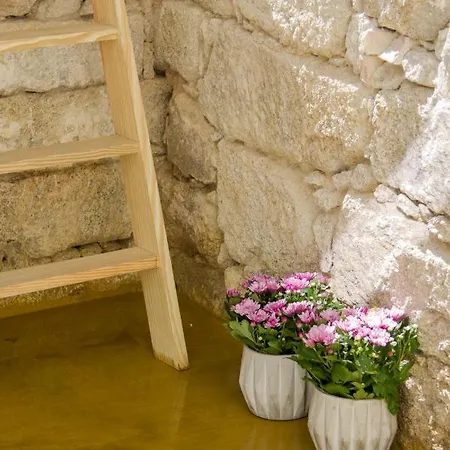 Apartamento Cozy & Comfy